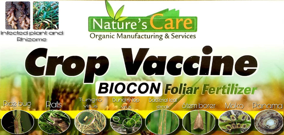 CROP VACCINE